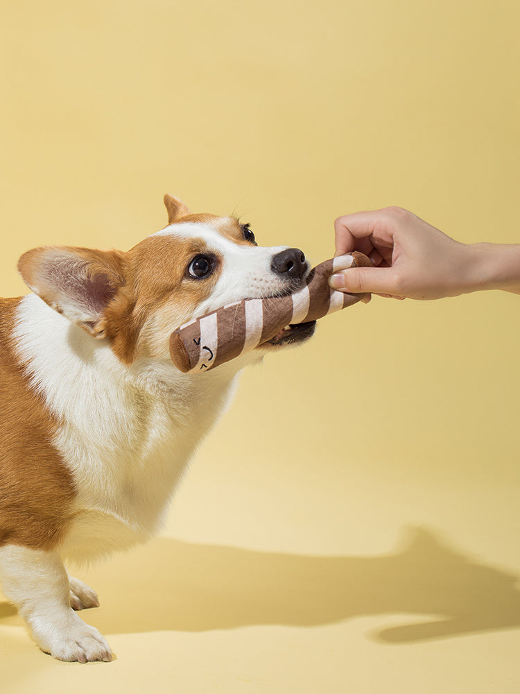 Discover the Joy of Learning with Puppy Plush Educational Toys